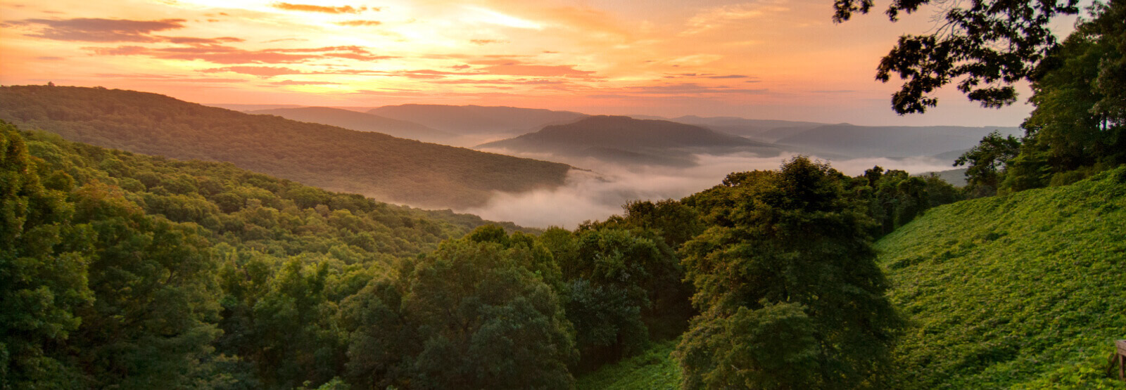 Landscape view with sunset