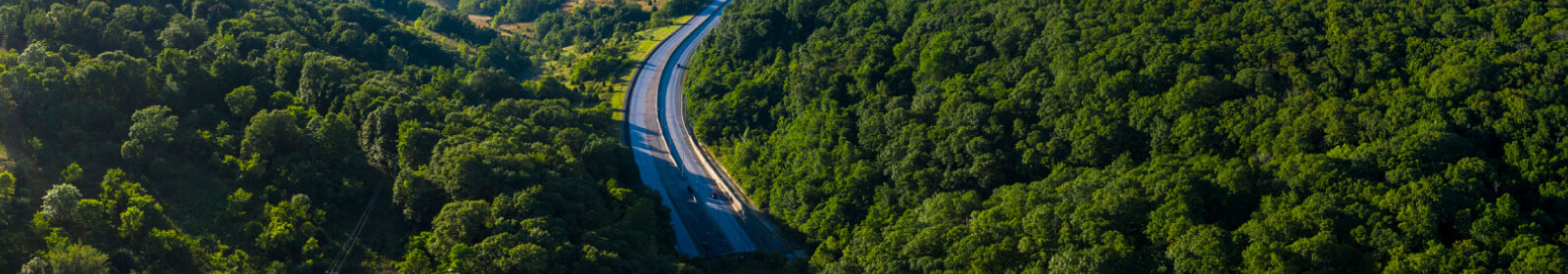 Road winding through green landscape